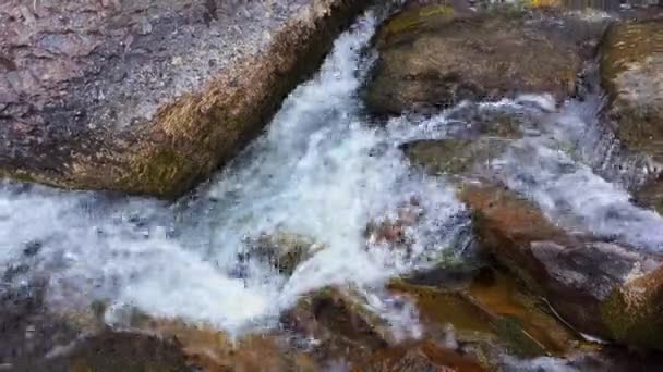 Gebirgsfluss Unter Felsen Den Bergen Sonnigen Frühlingstagen Nahaufnahme — Stockvideo