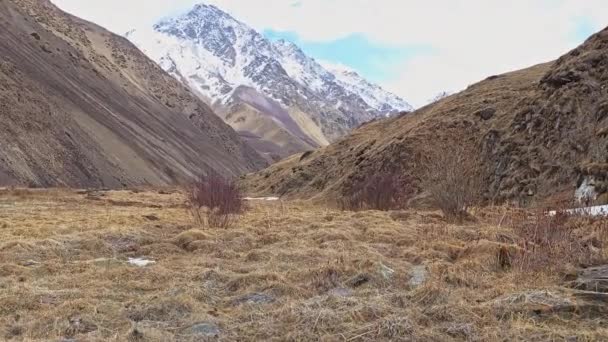 Păpușă Portabilă Mers Jos Defileul Montan Uscat Primăvară Iarbă Uscată — Videoclip de stoc
