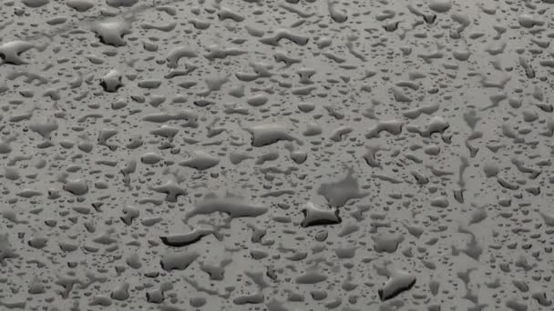 Picături Ploaie Suprafața Capotei Mașinii Negre Aproape Mișcare Lentă — Videoclip de stoc