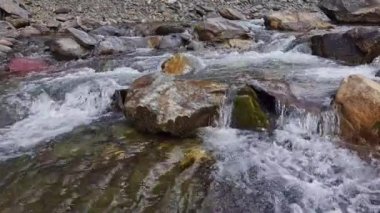 Güneşli bahar gününde dağ nehri.
