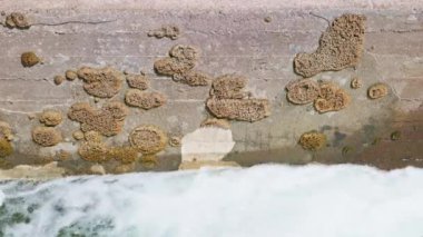 Altında köpüklü su akan beton su üzerindeki yosunlar..