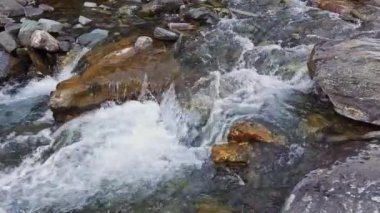 Dağların altındaki dağ nehri güneşli bahar gününde, yakın çekim manzarası