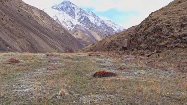 Păpușă Portabilă Mers Jos Defileul Montan Uscat Primăvară Iarbă Uscată — Videoclip de stoc