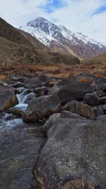 Bahar akşamında arka planda karla kaplı tepeleri olan dağ nehri..