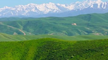 Güneşli bahar gününde, karlı dağ sırasının önündeki çimenli yeşil tepelerin hava manzarası, parallax efektli kamyon kamerası hareketi.