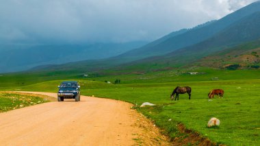 old SUV driving along dry dirt road near grazing horses before thunderstorm in Semenovskoye gorge, Kyrgyzstan at July 5, 2023 clipart