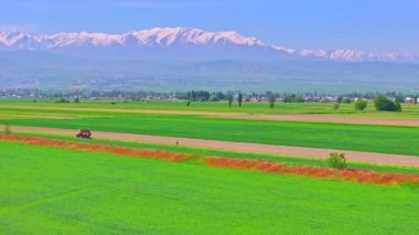Tarımsal alanda tanınmayan bir insan işçi ve traktör. Güneşli bahar gününde yarı yeşil ve yarı saban sürmüş. Yörüngedeki kamera hareketleriyle hava manzaralı.