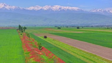 Tarımsal alanda tanınmayan bir insan işçi ve traktör. Güneşli bahar gününde yarı yeşil ve yarı saban sürmüş. Yörüngedeki kamera hareketleriyle hava manzaralı.