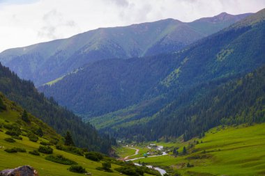 green grass and forest covered mountain slopes at rainy summer day in Grigoryevskoye Ushchelye in Kyrgyzstan clipart