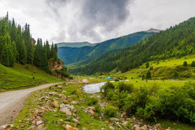 Kırgızistan 'daki Grigoryevskoye Ushchelye' de yağmurlu yaz gününde yeşil çimenler ve orman dağları kaplamıştı.