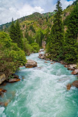Yağmurlu hava, yaz, dağ, nehir manzarası, yamaçlarında ladin ormanları.