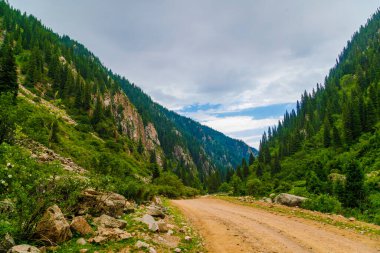 Bulutlu bir yaz gününde dağlarda toprak yol yamaçlarda ladin ormanları.