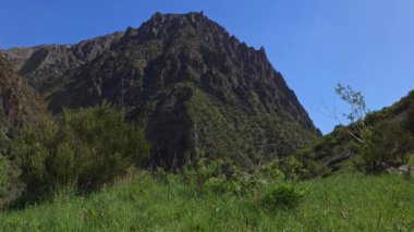 Yeşil çimen tepesinin yazı tipinde, rüzgarlı yaz gününde çalılık ve mavi gökyüzü arka planında büyük bir dağ.