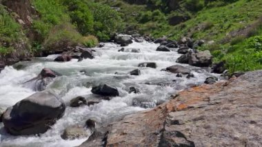 Güneşli yaz gününde büyük kayalıkları olan dağ nehri, kapanıyor.