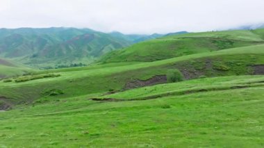 Kırgızistan 'da sisli yaz gününde yeşil dağ tepesi çayırları, insansız hava aracı bakış açısı