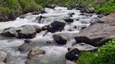 Güneşli yaz gününde büyük kayalıkları olan dağ nehri, kapanıyor.