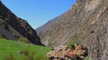 Ephedra çalısı ile yeşil çim tepe yazı tipi büyük dağ rüzgarlı yaz günü ve mavi gökyüzü arka planı
