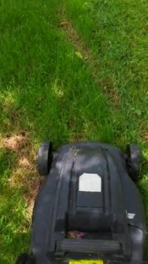 Ucuz plastik elektrikli çim taşıyıcı güneşli bir günde mantarlı yeşil çimenleri hareket ettiriyor, hareketli taraftan yakın çekim görüntüsü