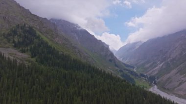 Kırgızistan 'da yaz günü Ala Archa Ulusal Parkı, kemer kamerası hareketli hava manzarası.
