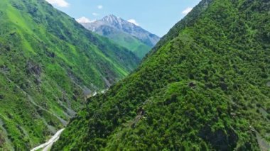 Kırgızistan 'da güneşli yaz gününde yeşil yamaçları olan dar dağ vadisinde, dağ nehri kıyısındaki kuru toprak yol.