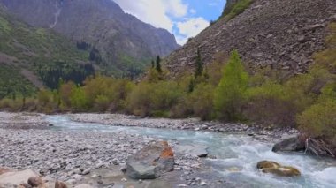 Dağ Nehri Ala-Archa Yağmurlu yaz günlerinde çevrede yeşillikler.