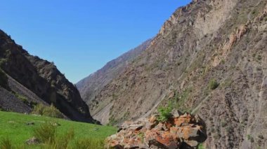 Ephedra çalısı ile yeşil çim tepe yazı tipi büyük dağ rüzgarlı yaz günü ve mavi gökyüzü arka planı