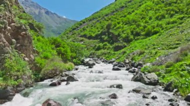 Dağ nehri, güneşli yaz gününde yeşil yamaçlarda büyük kayalar.