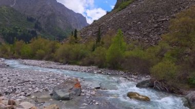 Dağ Nehri Ala-Archa Yağmurlu yaz günlerinde çevrede yeşillikler.