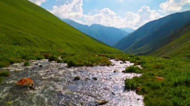 Dağ nehri yaz öğleden sonra yeşil eteklerin arasından akıyor..