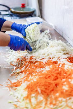 hands in blue gloves cutting cabbage with special double blade slit cabbage shredder knife during sauerkraut preparation clipart