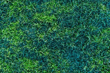 green grass lawn covered with morning hoarfrost texture and full-frame background clipart