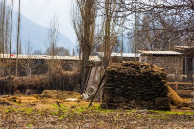 Geleneksel olarak yakıt olarak kullanılan, dikdörtgen şeklinde bir yığın kuru gübre tuğlası. Kırgızistan 'daki dağ kırsalında. Güneşli bahar günü.