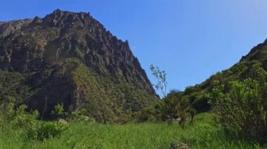 Büyük dağ, yeşil çimen tepesi yazı tipi ile rüzgarlı yaz gününde çalılık ve mavi gökyüzü arka planı, sol kamera hareketine yansır.