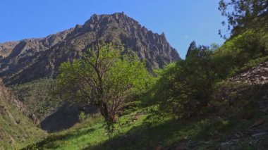 Yeşil çimen tepesinin yazı tipinde büyük bir dağ. Rüzgarlı yaz gününde ağaçlı, mavi gökyüzü arka planında.
