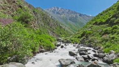 Dağ nehri, güneşli yaz gününde yeşil yamaçlarda büyük kayalar.