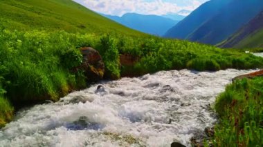 Dağ nehri yaz öğleden sonra yeşil eteklerin arasından akıyor..