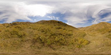 Güneşli bir sonbahar gününde, eşit dikdörtgenli projeksiyonla kaplanmış kuru sarı otlardan oluşan küresel bir manzara.