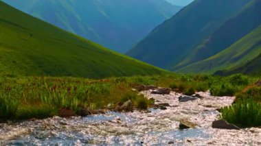 Dağ nehri yaz öğleden sonra yeşil eteklerin arasından akıyor..