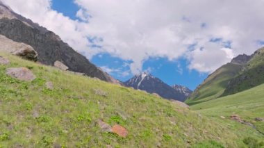 Kırgızistan 'da güneşli yaz gününde yeşil yamaçlı pitoresk dağ geçidi. Tian-Shan dağlarının tepesinde beyaz bulutlu mavi bir gökyüzü. İnsansız hava aracı kamera hareketlerini gösteriyor..