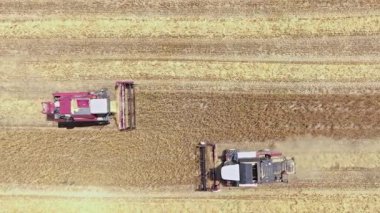Kırgızistan, Bişkek yakınlarındaki tarım alanında faaliyet gösteren iki hasatçının hava görüntüsü - 4 Temmuz 2024