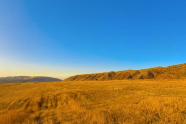 Saman tarımı sonbahar günbatımında eteklerle çevrili mavi gökyüzü eşkenar dörtgen projeksiyonla taşıdı.