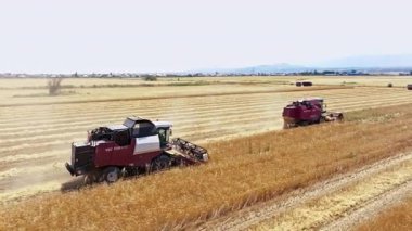 Kırgızistan, Bişkek yakınlarındaki tarım alanında faaliyet gösteren iki hasatçının hava görüntüsü - 4 Temmuz 2024