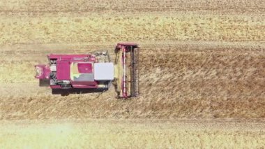 Kırmızı hasatçı tarımsal alanda çalışıyor, direkt olarak Havacılık görüşünün üstünde..