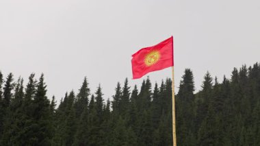 Çam ormanları dağlık yamaçlarda ulusal Kırgızistan bayrağıyla yağmurlu bir günde.