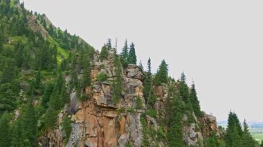 Kırgızistan 'da bir yaz gününde çam ormanlarıyla kaplı kayalık bir dağ kayalığı, hava manzarası yörüngesindedir.