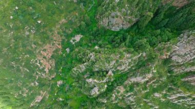 Kırgızistan 'da bulutlu bir yaz gününde çam ağaçlarıyla kaplı dağ sırtı, yüksek açı manzaralı.