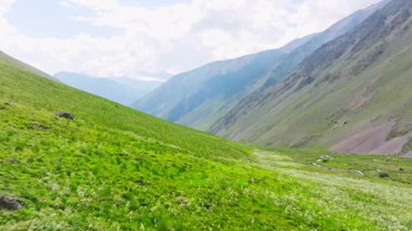 Kırgızistan 'da güneşli yaz gününde yeşil yamaçlı pitoresk dağ geçidi. Tian-Shan dağ sırasının üzerinde beyaz bulutlu mavi gökyüzü, Dolly ileri kamera hareketli drone bakış açısı.