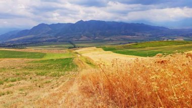 Altın tarlaları, kuru otları ve ufukta uzak dağları olan manzaralı bir tarım arazisi. Yuvarlanan tepeler derinlik kazandırırken, kurumuş bitkiler yabani otlar veya tarımsal toprak koruma alanları olabilir..