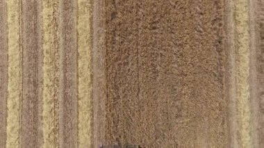 Tarımsal alanda çalışan iki hasat gemisi, tam olarak Havacılık görüşünün üstünde..