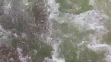 Yaz günü dalgalı yeşil dağ nehri suları yavaş çekimde